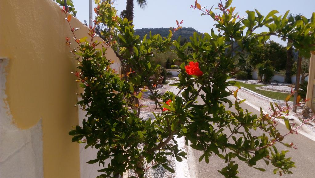 شقة Mosaic Gardens فاليراكي المظهر الخارجي الصورة