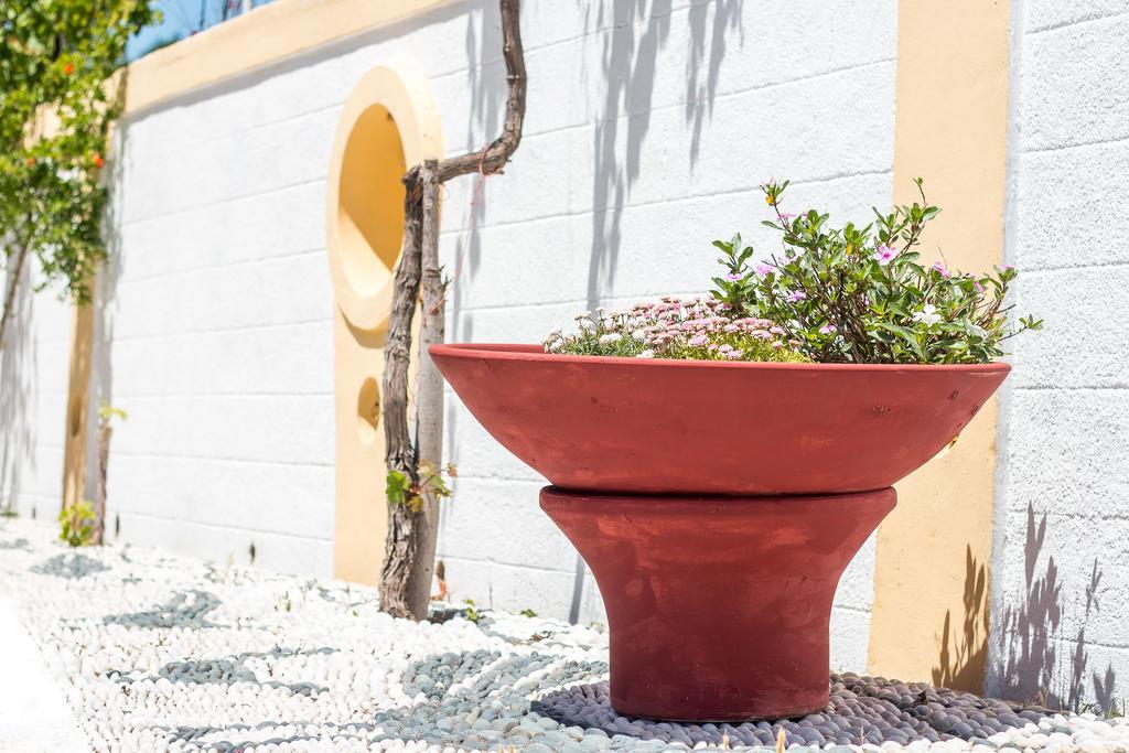شقة Mosaic Gardens فاليراكي المظهر الخارجي الصورة
